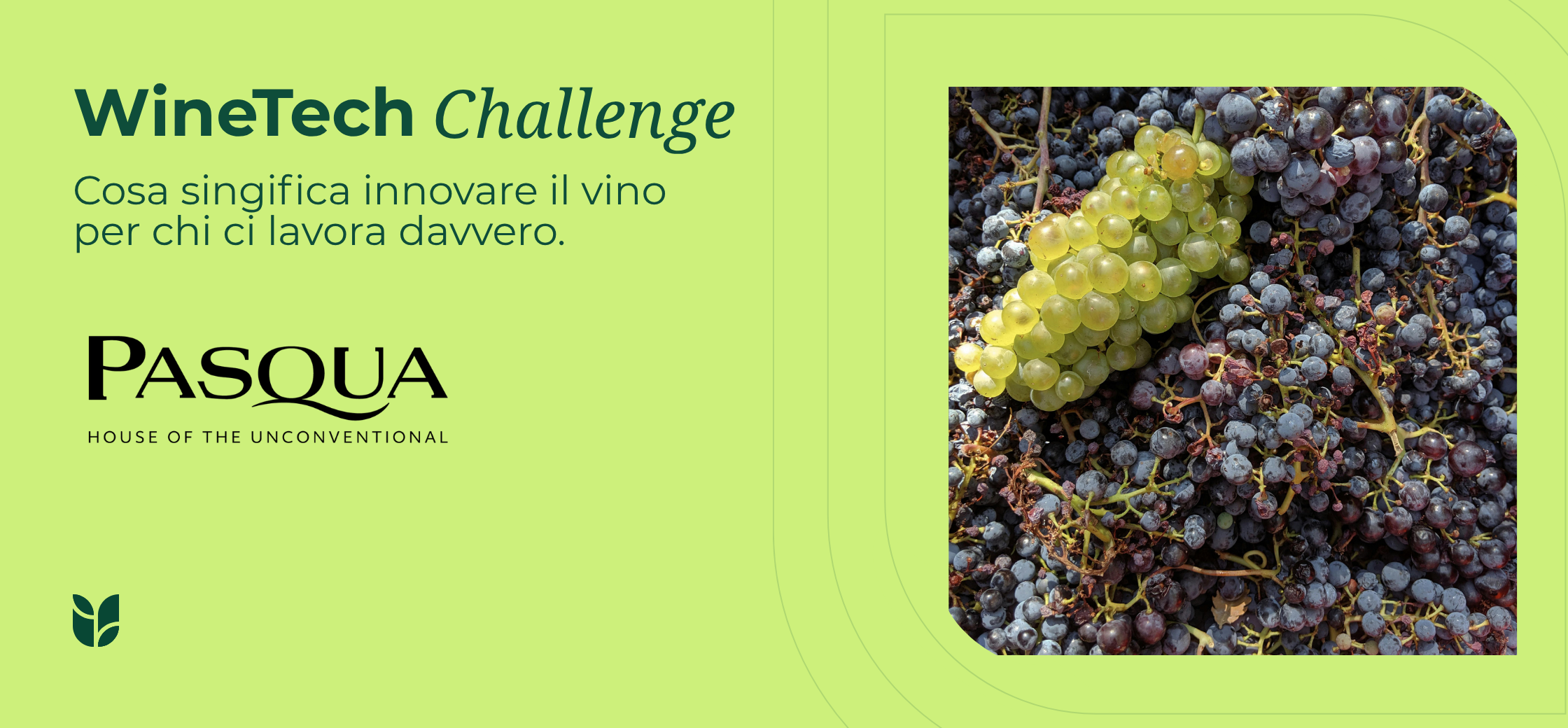 grafica blog_pasqua