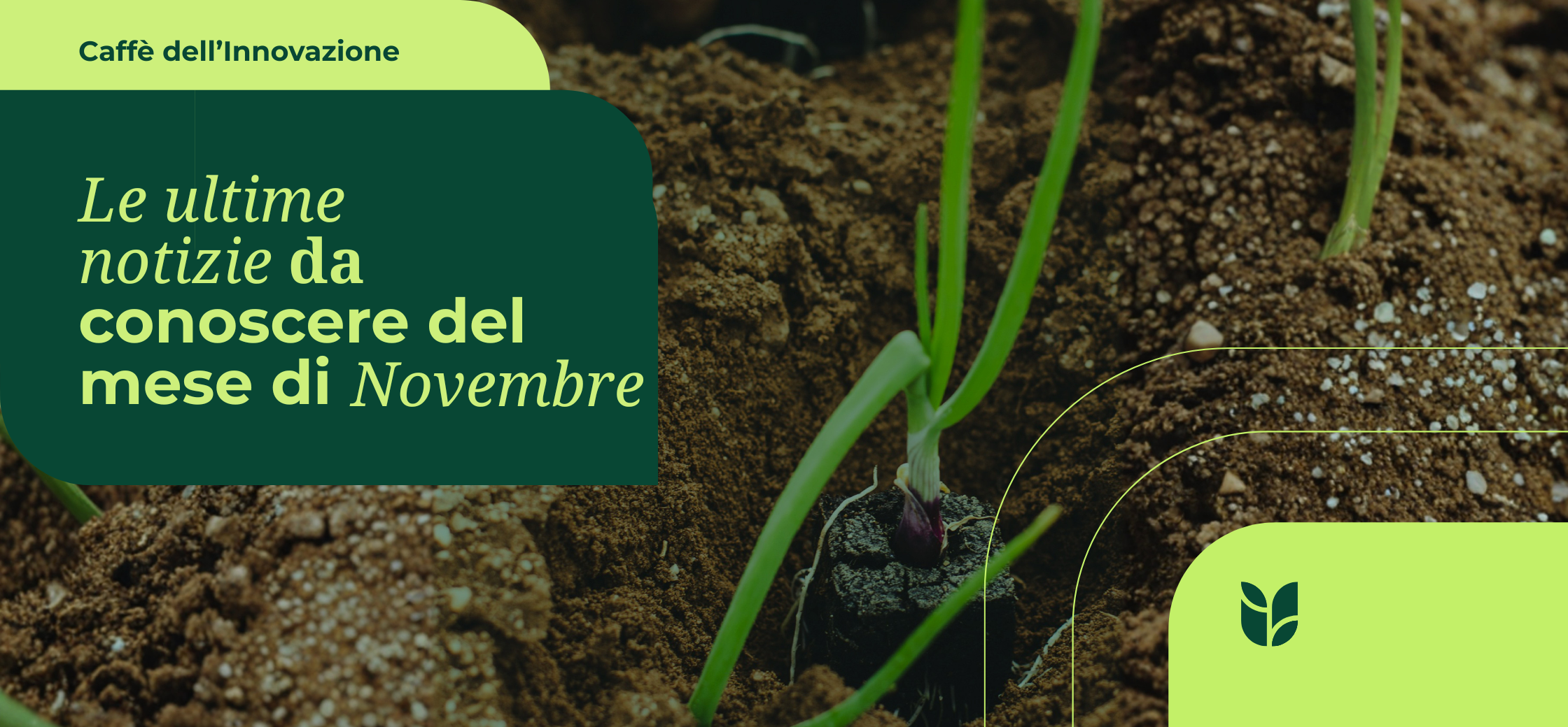 10. notizie da conoscere sull’agrifood