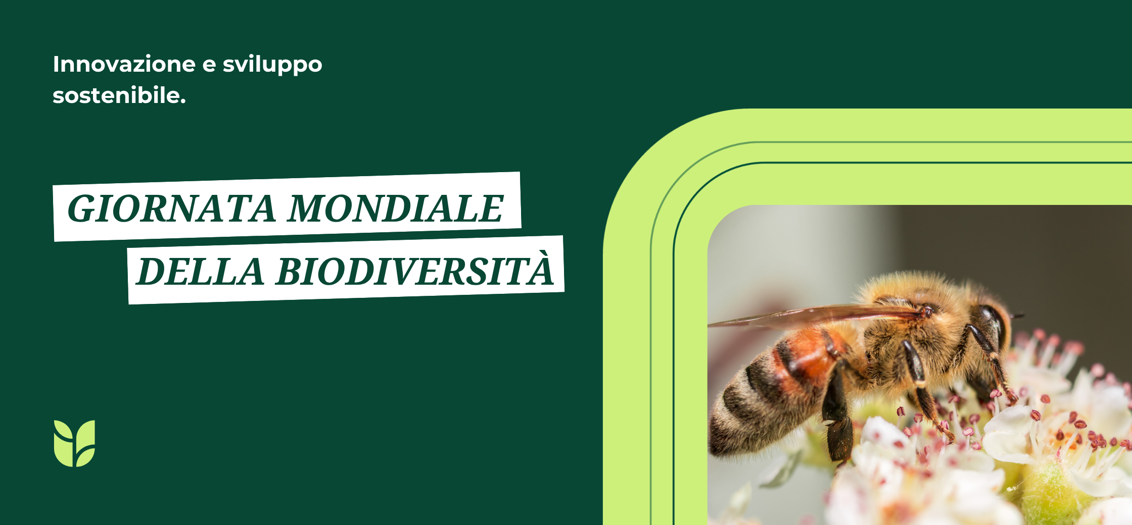 Giornata Mondiale della Biodiversità