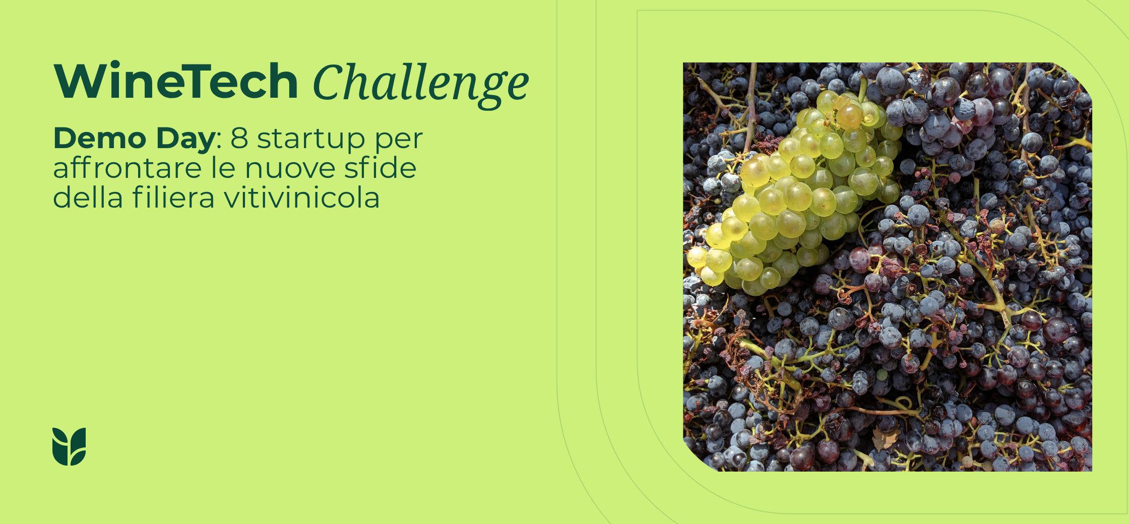 winetech challenge 8 startup per affrontare le nuove sfide della filiera vitivinicola