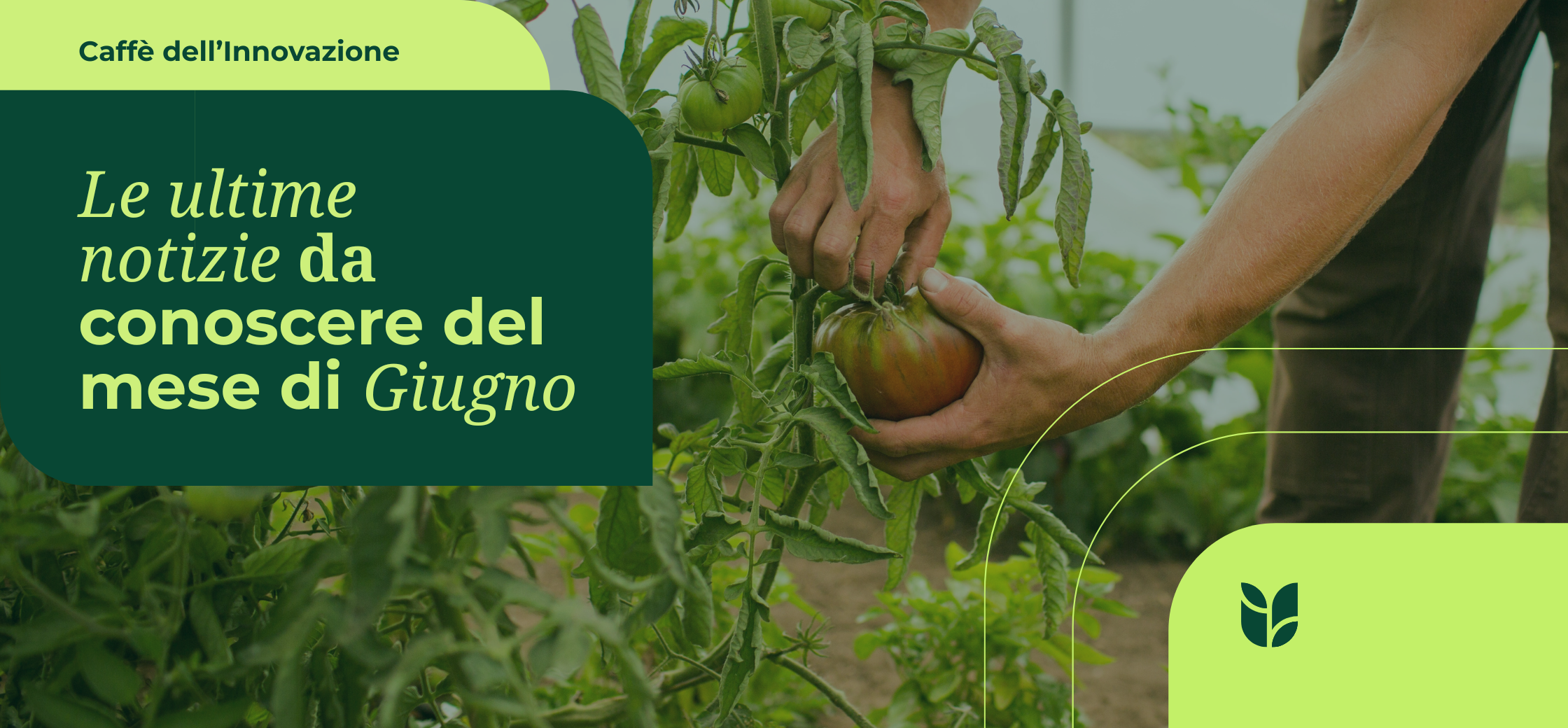 Caffè dell’Innovazione giugno 2026