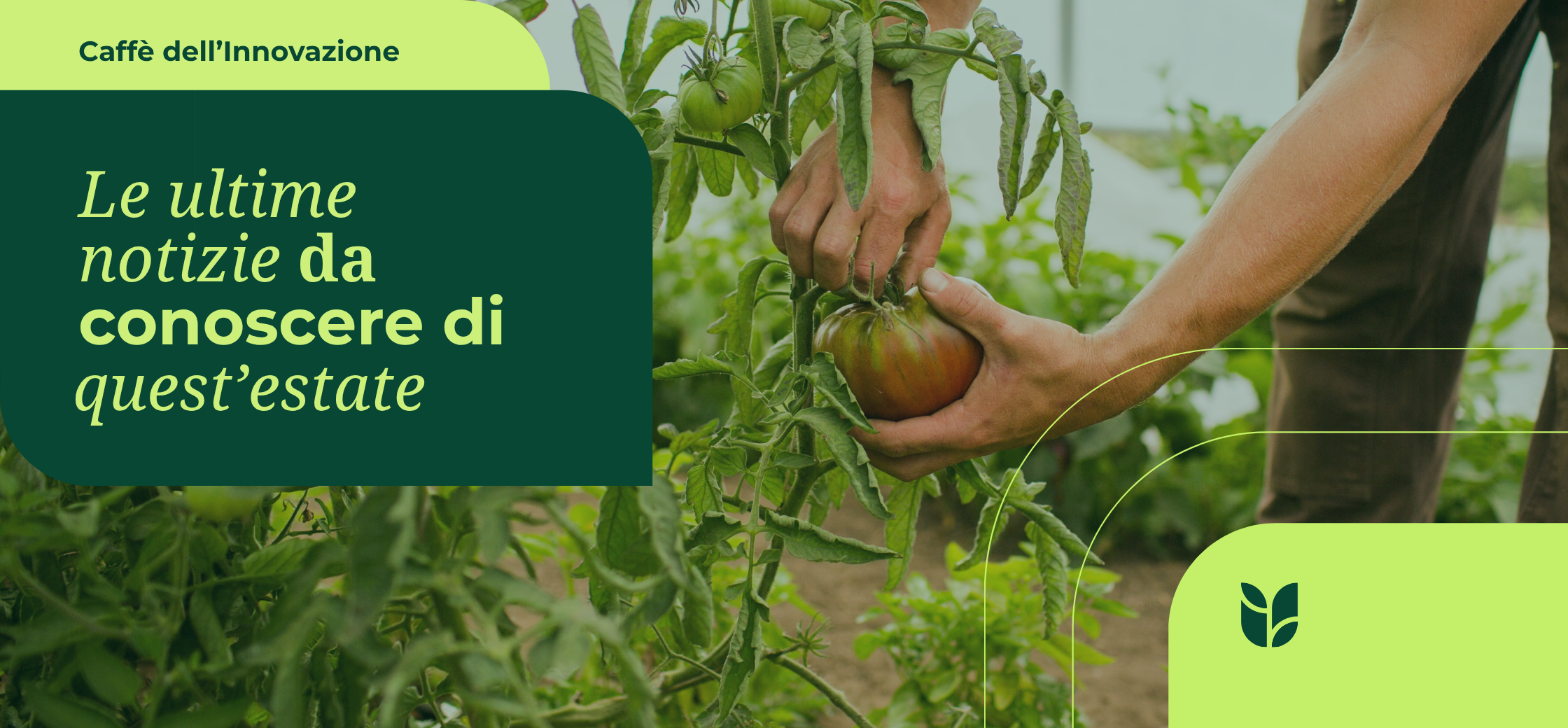 Caffè dell’Innovazione notizie food system estate 2026