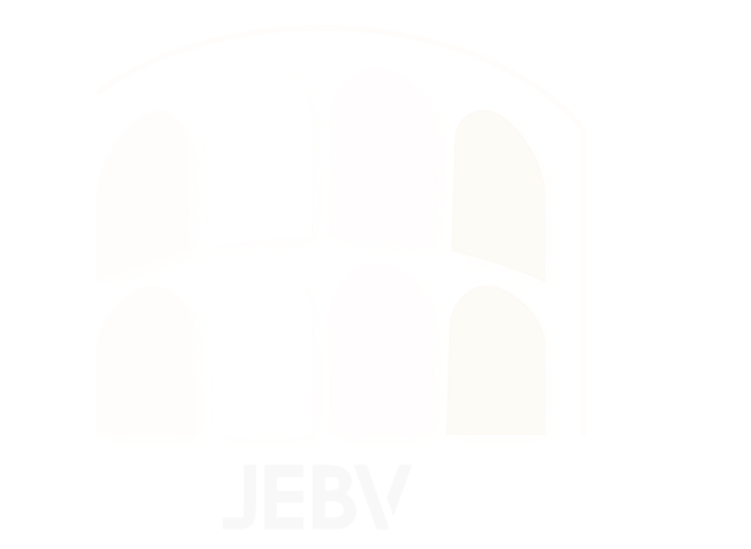 JUNIOR ENTERPRISE BUSINESS VERONA
