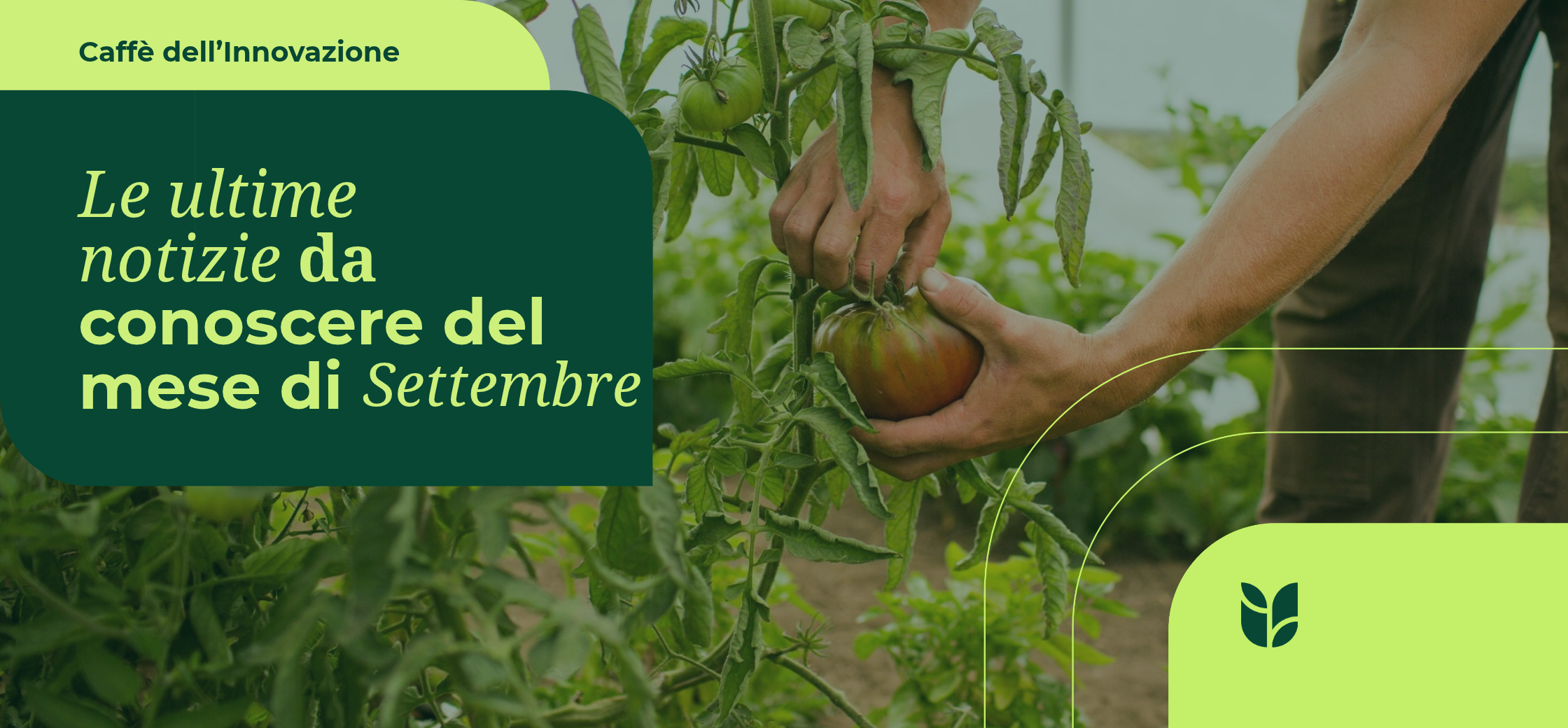 Il Caffè dell’Innovazione: Le notizie più rilevanti del mese di Settembre